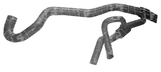 CAÑO MOTOR